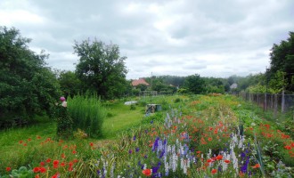 DSCN4390.JPG