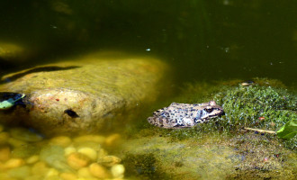 DSC_9287k.JPG