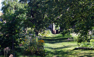 DSC_7604.JPG