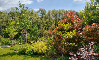 IMG_20210603_135151165_HDR.jpg