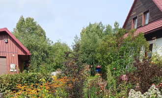 IMG20220924102442.jpg