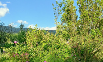 IMG20220621184415.jpg