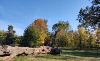 park_jesen.jpg