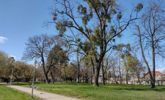 img_20230328_144916888_hdr.jpg