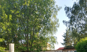 IMG_20180530_182405119_HDR.jpg
