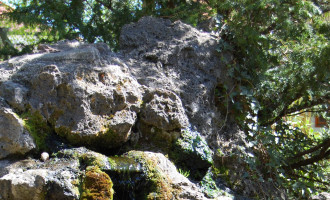 dsc_2512.jpg