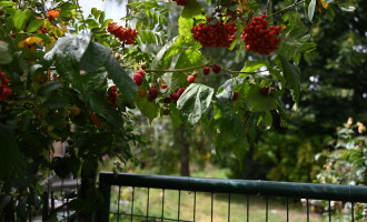 dsc_1878.jpg