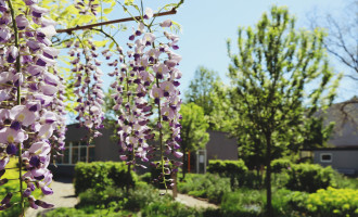 InShot_20230422_200808082.jpg