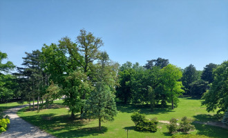 20230525_145820.jpg