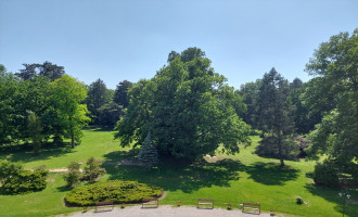 20230525_145824.jpg