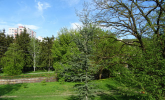 DSC07796_v1.JPG