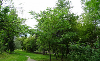 DSC08452_v1.JPG