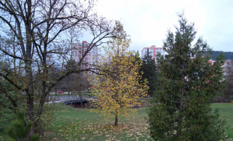 DSC07568_v1.JPG