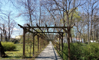 pergola.jpg