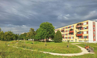 foto3.jpg