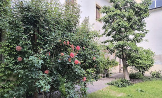 img_20260520_163922122_hdr.jpg